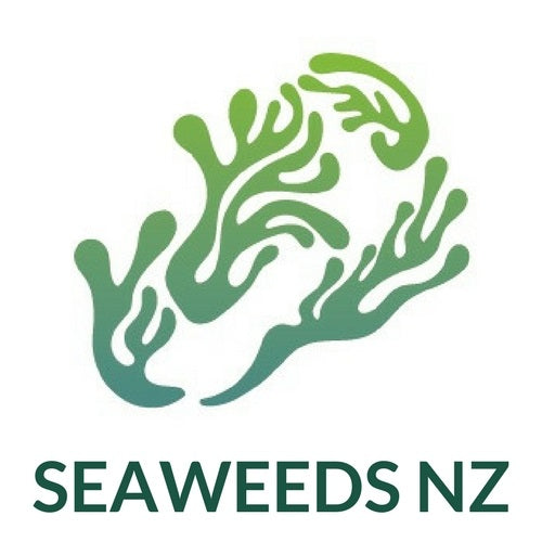 Seaweeds NZ